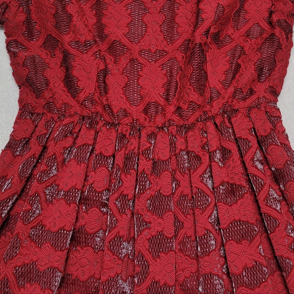Anthropologie Moulinette Soeurs Rubied Lace Dress Fit & Flare Pleated Mini Dress - Picture 4 of 13
